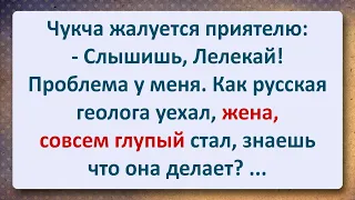 ⚜️ Чукча и Проблемная с Жена! Сборник Свежих Анекдотов! Юмор!