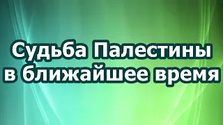 Судьба Палестины в ближайшее время.