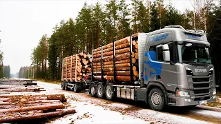 Pine logging with the new truck