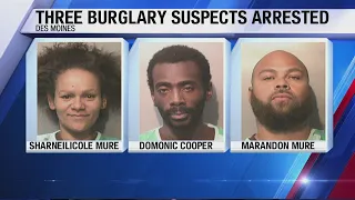 Three burglary suspects arrested