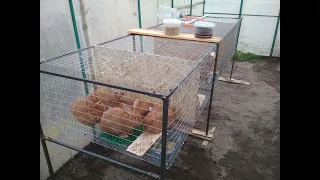 Разборные клетки для кроликов