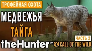 theHunter Call of the Wild #6 🔫 - Медвежья Тайга - Трофейная Охота (Часть 2)