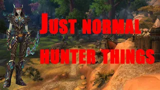 Just normal hunter things - Marksman hunter pvp dragonflight 10.1.5