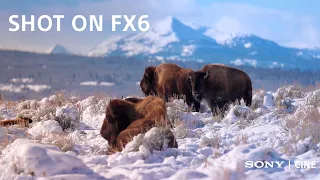 Implement Productions test the Sony FX6 in Yellowstone