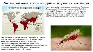 Паразитичні одноклітинні еукаріоти