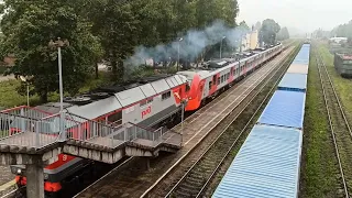 Поезд "Ласточка" Псков - Санкт-Петербург на станции Струги Красные