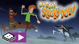 Be Cool, Scooby-Doo! | Is Paparazzi a pizza? | Boomerang UK