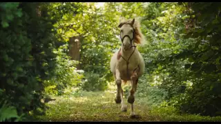 WENDY - DER FILM - HD Teaser-Trailer deutsch | Ab 26.1.2017 im Kino