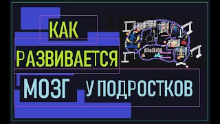 Что происходит в голове у подростков?