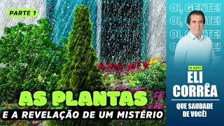 As plantas e a revelação de um mistério - Parte 1 | Eli Corrêa Oficial |