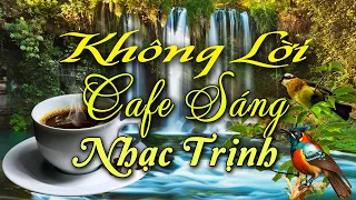 Nhạc Không Lời Cafe Sáng Nhạc Trịnh, Hòa Tấu Guitar & Saxophone Phòng Trà Êm Nhẹ Ngắm Cảnh Hữu Tình