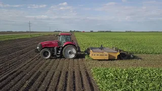 Sugarbeets Start to Finish, October 2017-October 2018