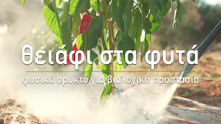 🍇 Θειάφι στα φυτά για βιολογική προστασία - Τα Μυστικά του Κήπου