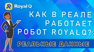 RoyalQ - как реально работает этот робот?