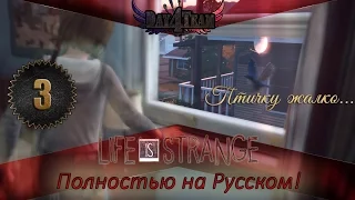 Life is strange #3 - Птичку жалко... [Полностью на русском!] FullHD 60FPS
