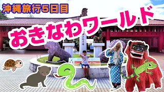 『沖縄旅行　第２弾５日目』おきなわワールドの玉泉洞・熱帯フルート園・琉球ガラス・スーパーエイサーショー・ハブとマングース・ハブ博物公園とみるところいっぱい！ヘビやトカゲも触れるところで、大興奮！