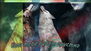 Клип "Если тебе будет грустно" WildCraft.