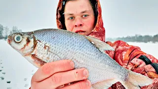 Эти КАБАНЫ УТАЩИЛИ УДОЧКУ! Ловля КРУПНОЙ ГУСТЕРЫ и СОПЫ… Зимняя рыбалка на реке 2020