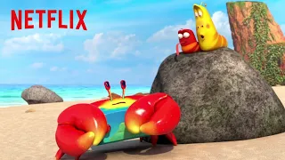 Discovery of the Crab | Larva Island | Netflix After School