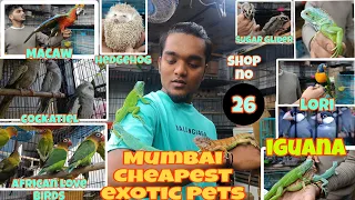 Crawford Market Exotic Pets 2024 Shop No 26 #trending #viral #petsmarket #mumbai