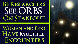 Bigfoot Researches See Orbs & Woman has multiple Bigfoot Encounters while walking her dog.