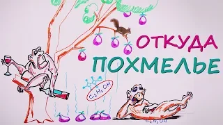 Почему от похмелья так плохо? — Научпок