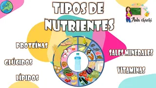 Tipos de Nutrientes | Aula chachi - Vídeos educativos para niños