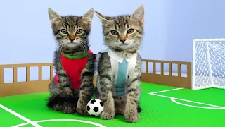 Messi or Ronaldo? 🐱⚽ Suuuuui!