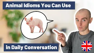 Animal Idioms You Can Use in Daily Conversation  | The Level Up English Podcast 215