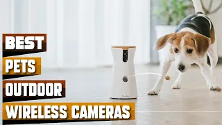 Outdoor Wireless Cameras For Pet : Best Selling Outdoor Wireless Cameras For Pets on Amazon