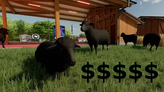 Are sheep worth it in Farming Simulator 22 | fs22 sheep | fs22 sheep guide