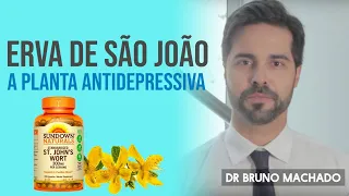 Erva de São João contra Depressão - A Planta Antidepressiva