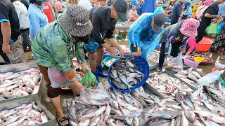 Unbelievable Fish Market Scene Early Morning at 6:30 am - Vendors, Fish, Seafood & More|TourWithPapa