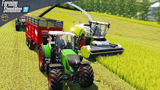 Greenlands Farming & Contracting| Silage montage!| Farming Simulator 22 #29