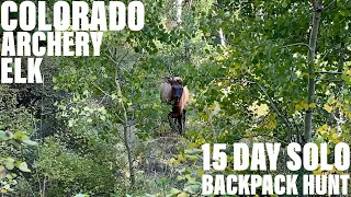 2021 COLORADO ARCHERY ELK: SOLO BACKPACK HUNT