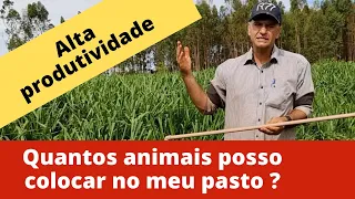 COMO CALCULAR  A QUANTIDADE DE ANIMAIS POR HECTARE.