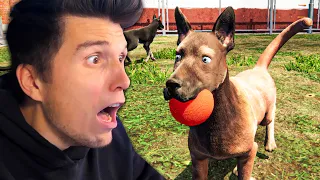 Dieser Hund wäre fast verhungert | Tierheim Simulator