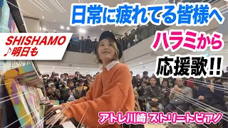 【日々頑張るあなたへ】SHISHAMOさんの「明日も」で川崎のみなさまを応援してみた❗️【ハラミからの応援歌】