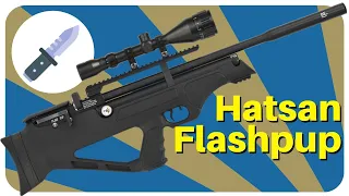 Flashpup .25cal (Hatsan)