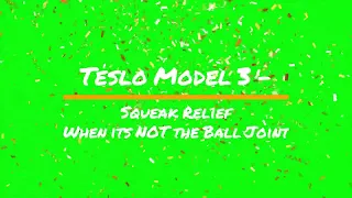 Tesla Model 3 Squeak Fix