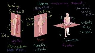 OCR A-level PE - Planes of Movement