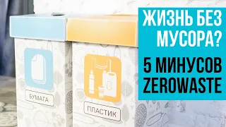 Что не так с zerowaste? Токсичность, экологичность, категоричность, бессмысленность.