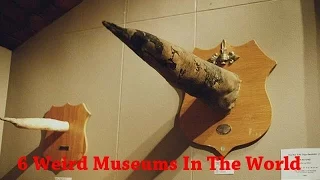 6 Weird Museums In The World That You Should Visit