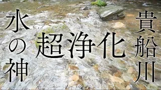 【貴船川・水の神】せせらぎを聴くだけで邪気を払い空間・心身が浄化されるパワースポット自然音3時間【第5・７チャクラ活性化】