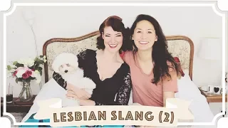 Lesbians Guess Lesbian Slang - Vol 2