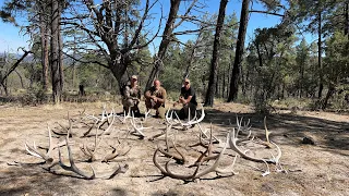 2022 Elk Shed Hunt