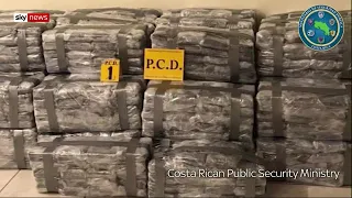 Больше тонны кокаина обнаружили в ананасах полицейские Коста-Рики