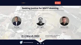 Webinar: Seeking justice for MH17 downing