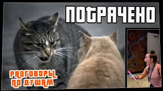 Потрачено. Разговоры по душам. Лучшие приколы, смешные видео и фейлы