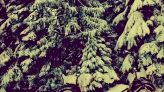 “Winter Wonderland” Lofi Christmas cover performed by Okuma and My Life, Pursuing
